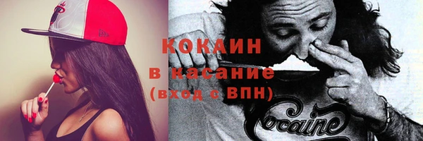 прущие грибы Костерёво