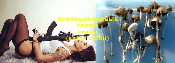 прущие грибы Костерёво