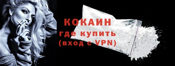 прущие грибы Костерёво