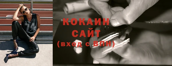 прущие грибы Костерёво