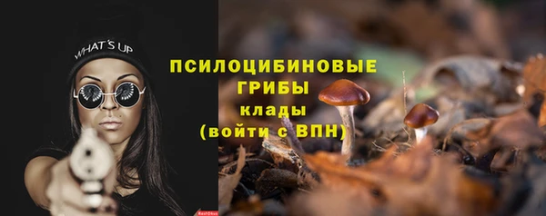 мескалин Карпинск