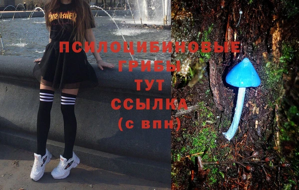 амф Кинешма