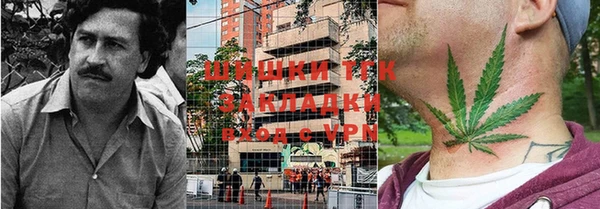 прущие грибы Костерёво