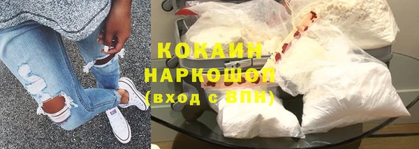 прущие грибы Костерёво