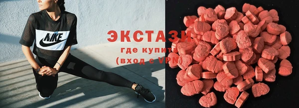 прущие грибы Костерёво