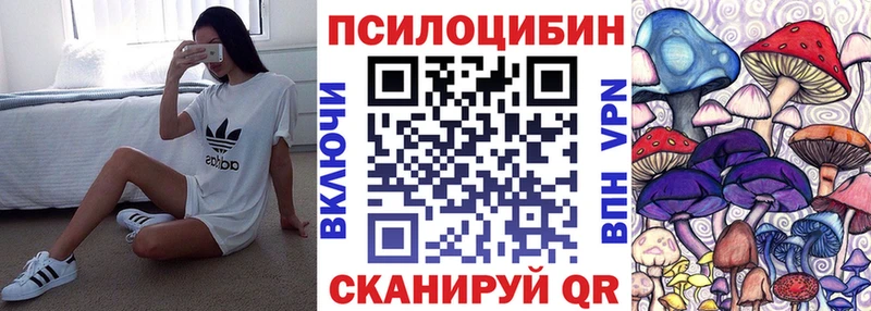наркотики  Называевск  Псилоцибиновые грибы прущие грибы 
