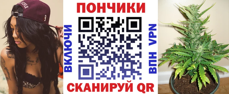 Бошки Шишки сатива  Называевск 